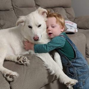 Meet your Posher, Terry